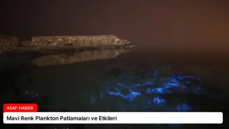 Mavi Renk Plankton Patlamaları ve Etkileri