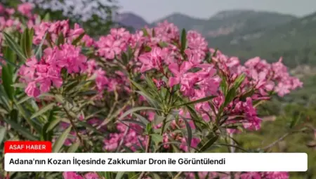 Adana’nın Kozan İlçesinde Zakkumlar Dron ile Görüntülendi