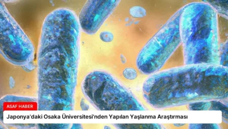 Japonya’daki Osaka Üniversitesi’nden Yapılan Yaşlanma Araştırması