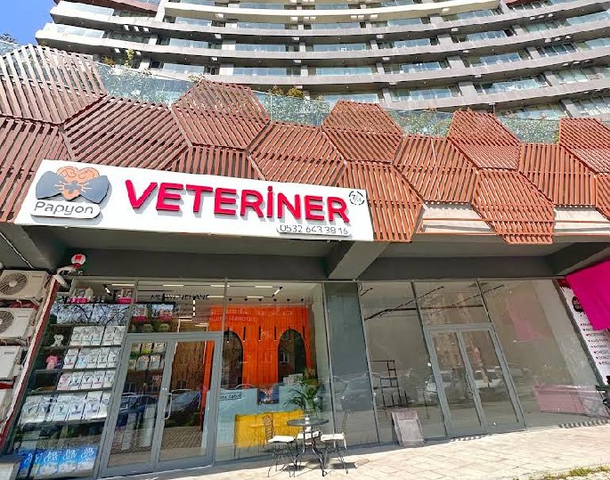 Papyon Veteriner, Maltepe’de Kedi ve Köpekler İçin Gelişmiş Klinik Hizmetleriyle Öne Çıkıyor