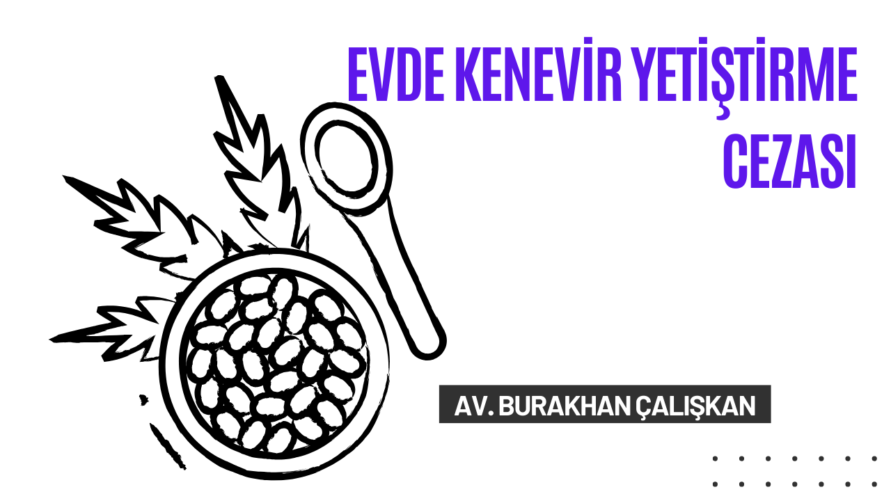 Evde Kenevir Yetiştirme Cezası