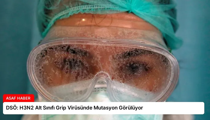 DSÖ: H3N2 Alt Sınıfı Grip Virüsünde Mutasyon Görülüyor