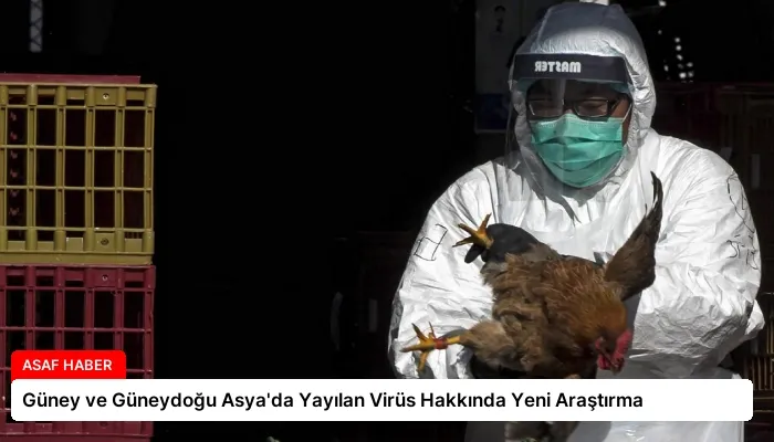 Güney ve Güneydoğu Asya’da Yayılan Virüs Hakkında Yeni Araştırma