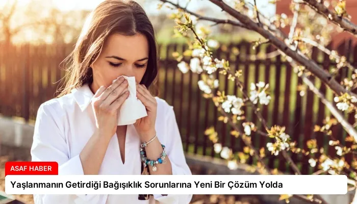 Yaşlanmanın Getirdiği Bağışıklık Sorunlarına Yeni Bir Çözüm Yolda