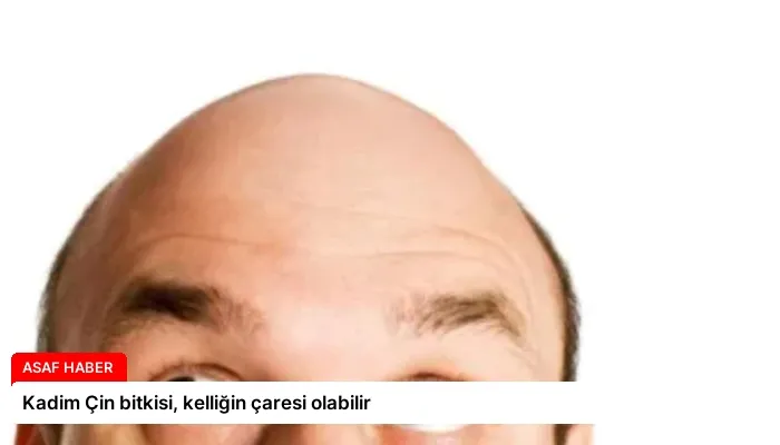 Kadim Çin bitkisi, kelliğin çaresi olabilir