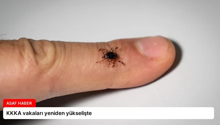 KKKA vakaları yeniden yükselişte