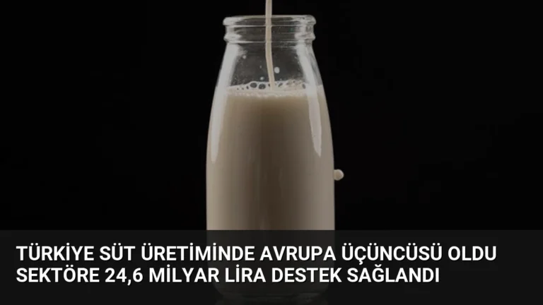 Türkiye Süt Üretiminde Avrupa Üçüncüsü Oldu Sektöre 24,6 Milyar Lira Destek Sağlandı