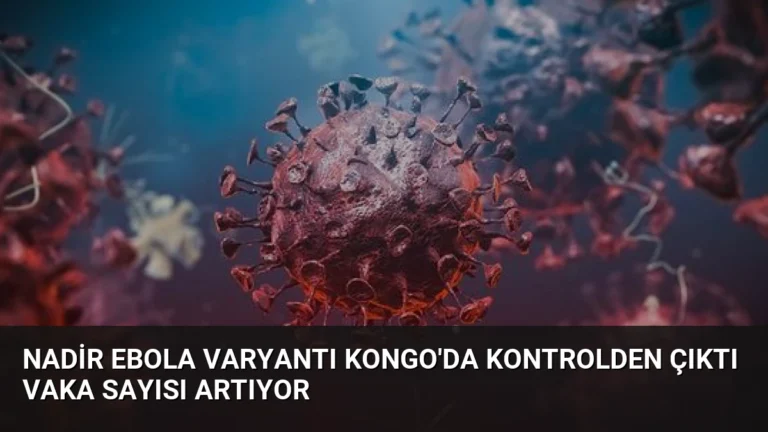 Nadir Ebola Varyantı Kongo’da Kontrolden Çıktı Vaka Sayısı Artıyor