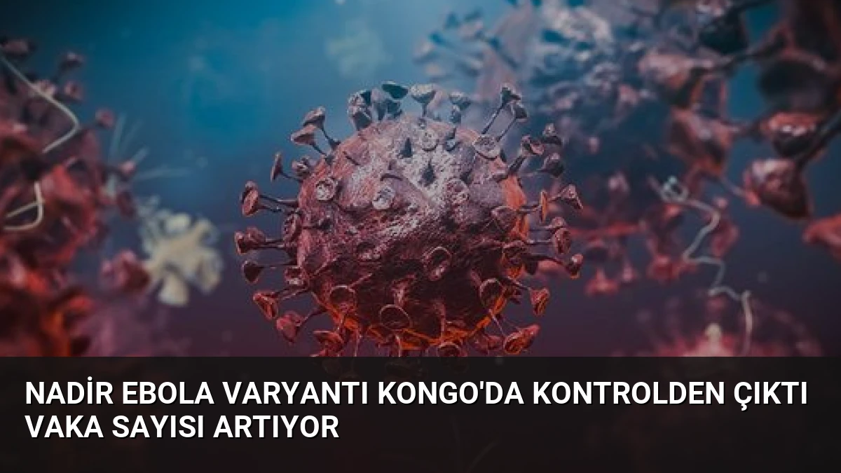 Nadir Ebola Varyantı Kongo’da Kontrolden Çıktı Vaka Sayısı Artıyor