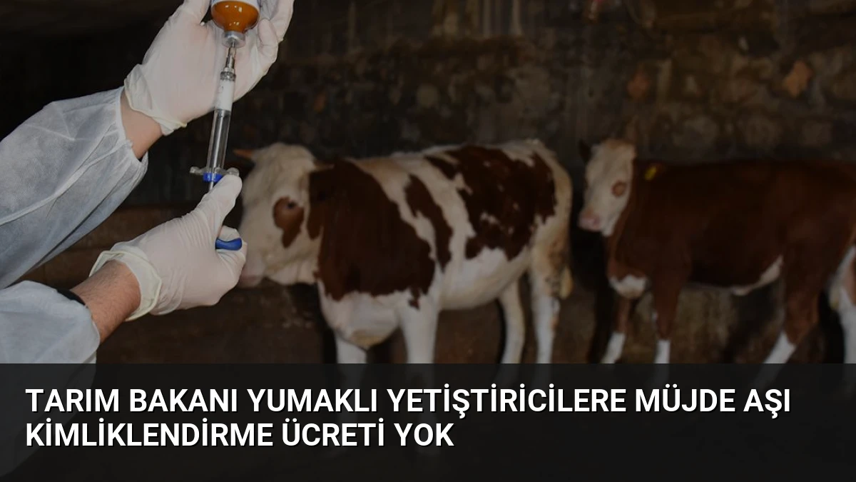 Tarım Bakanı Yumaklı Yetiştiricilere Müjde Aşı Kimliklendirme Ücreti Yok