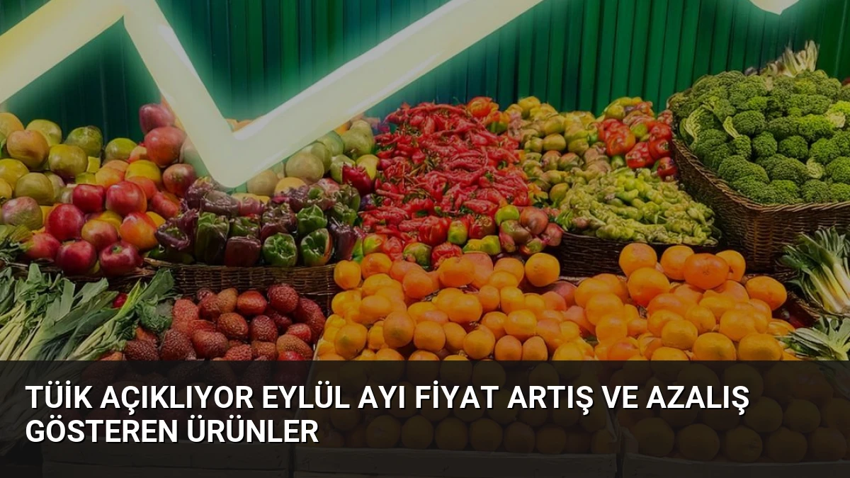TÜİK Açıklıyor Eylül Ayı Fiyat Artış ve Azalış Gösteren Ürünler