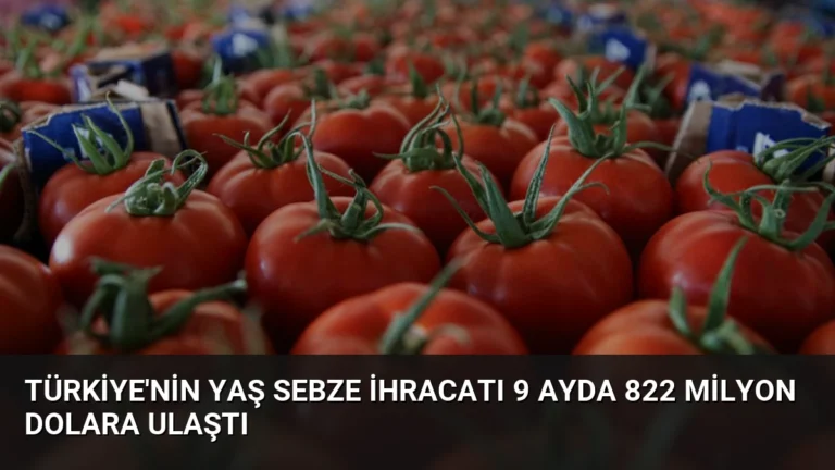 Türkiye’nin Yaş Sebze İhracatı 9 Ayda 822 Milyon Dolara Ulaştı